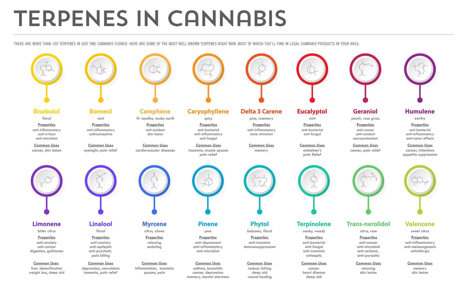 Terpenes