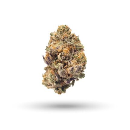 Purple Punch``