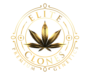 Elite_Clones_Logo