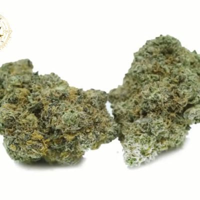 White Rhino